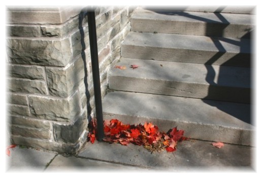 photo8